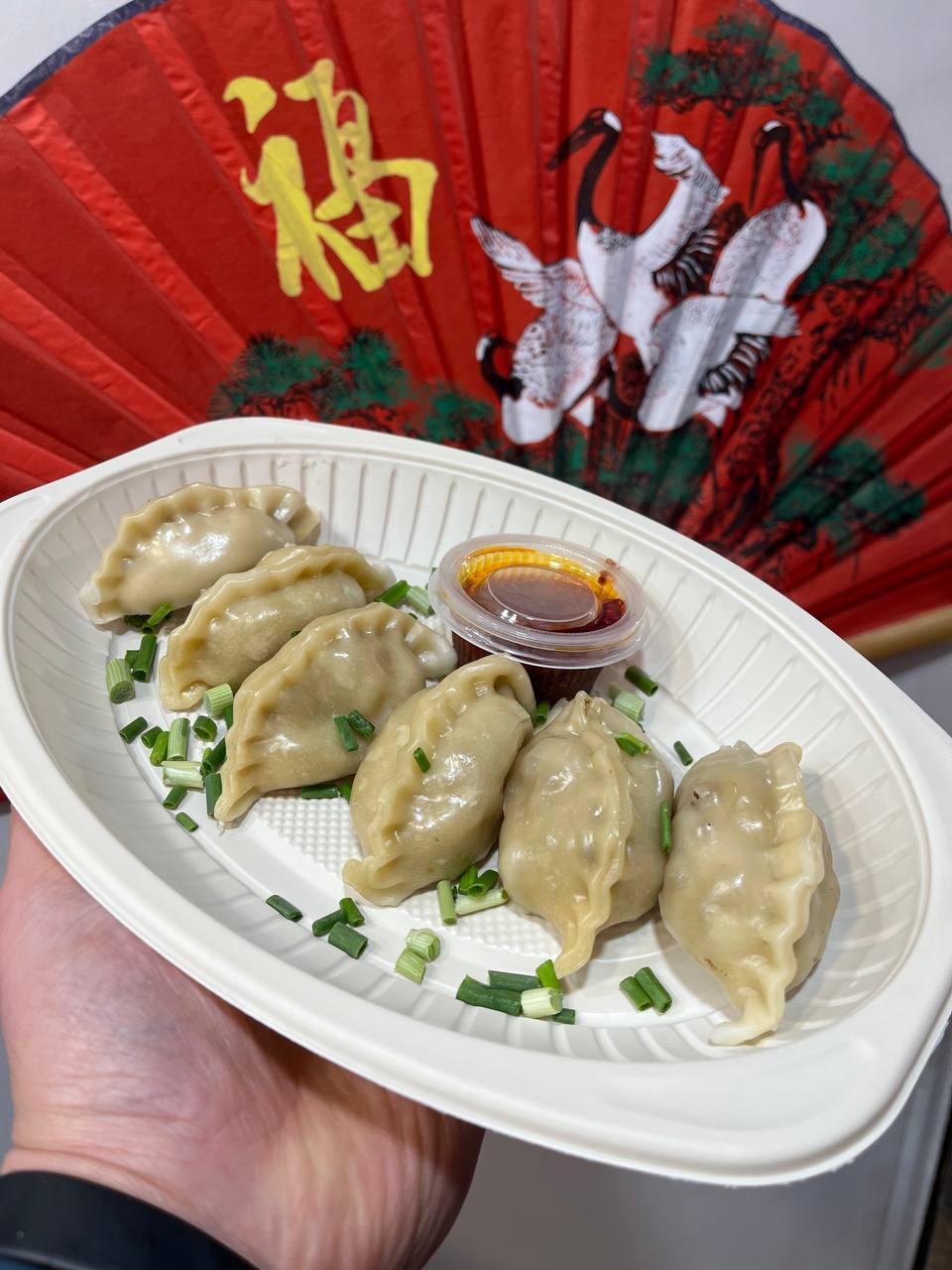 دامپلینگ بخار پز Steamed Dumplings