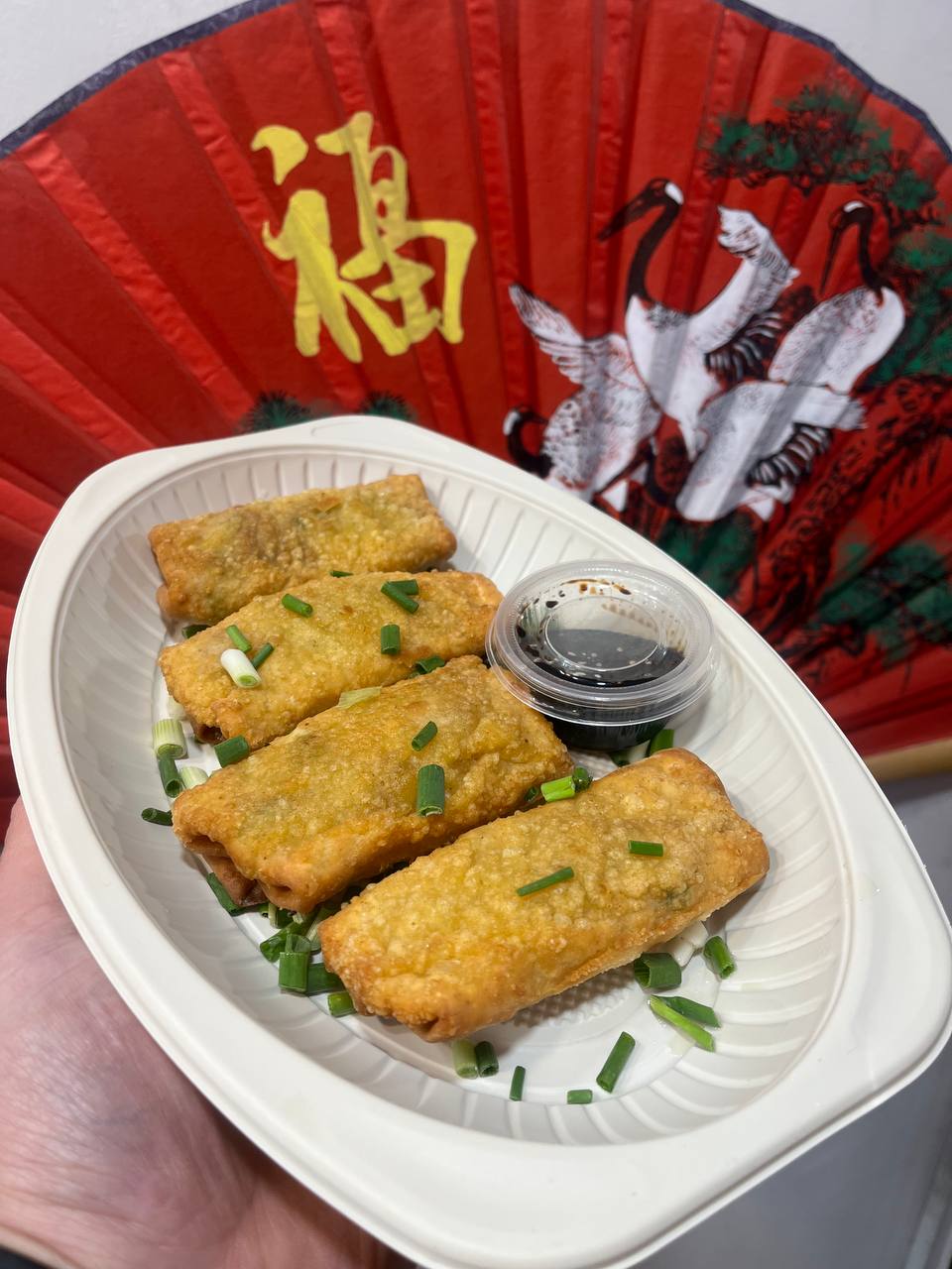 اسپیرینگ رول سبزیجات Vegetable spring rolls