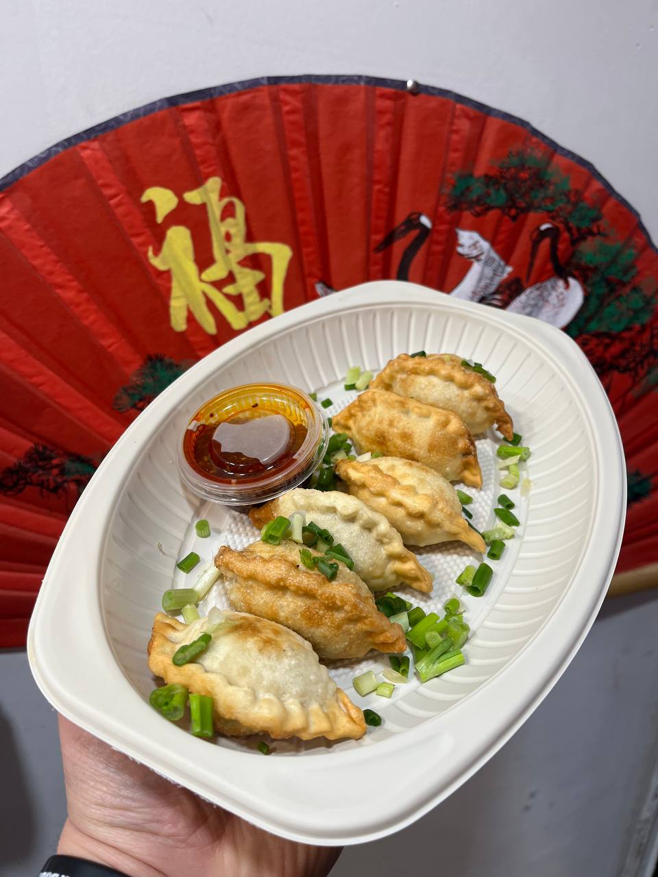 دامپلینگ سرخ شده Fried Dumplings